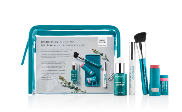 Holiday Kit 2025